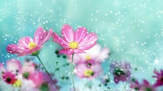Flower Wallpaper Best