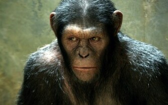 Rise Of The Planet Apes Movie Wallpaper HD