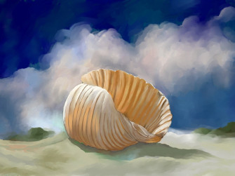 Shell Wallpaper