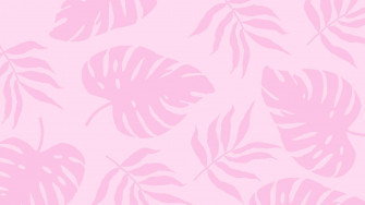 Summer Aesthetic Wallpaper