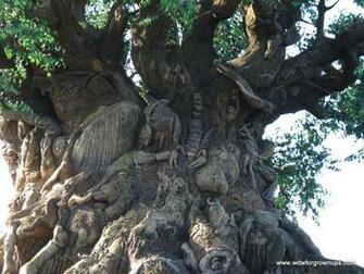 Animal Kingdom Tree Of Life