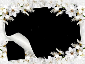 Simple Flowers Frames Png