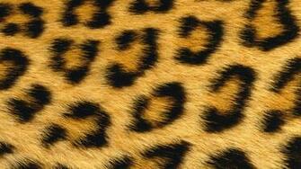 Leopard Skin Wallpaper And Background Image Net