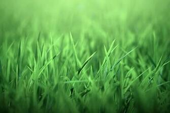 Wallpaper High Quality Definition