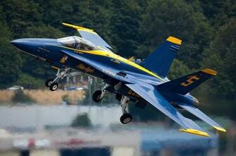 Blue Angels Wallpaper