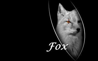 Top Desktop Fox Wallpaper HD Black Jpg