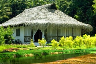 HD Wallpaper Nature Beauty