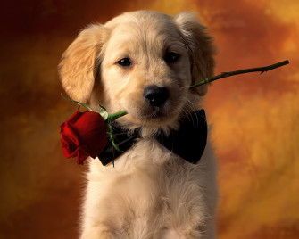 World S All Amazing Things Picture Image And Wallpaper