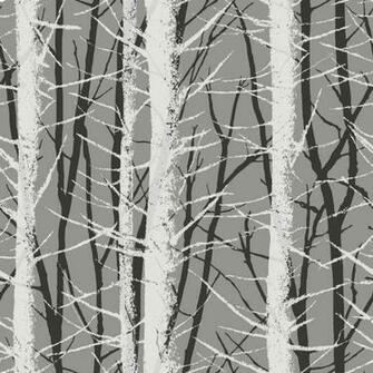 Birch Trees