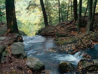 Background Buttermilk Falls New Jersey