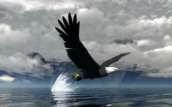 Wallpaper Live Chat By Liveperson Philadelphia Eagles More
