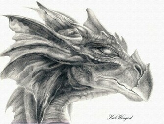 Dragon Head Drawings Wallpaper Background HD With Resolutions