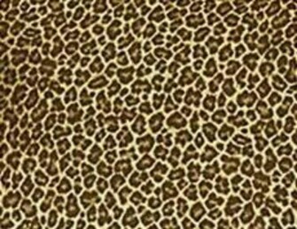 Miss Cheetah Fab July