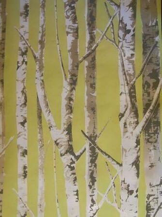 Birch Trees Modern Wallpaper By The Metre