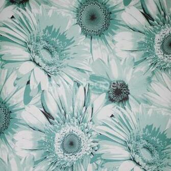 Debona Gerbera Daisy Flower Teal Wallpaper