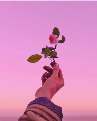 Cute Aesthetic Phone Wallpaper