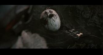 Photo Collection Ing Image Dark Assassins