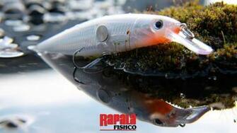Rapala Wallpaper