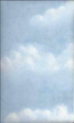 Beautiful Fluffy White Clouds On Nextwall Wallpaper Twn32201