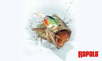 Fishing Fish Rapala High Quality And Resolution Ii