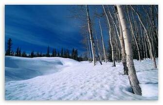 Winter Scenes HD Wallpaper For Standard Fullscreen Uxga Xga