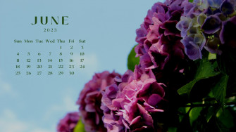 And Customizable Floral Desktop Wallpaper Templates