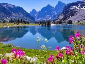 Nature Wallpaper Daydreaming