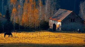 Animals Barn Buildings Landscapes Horses Trees Farm Rustic Autumn