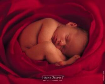 Wallpaper Photo Art Anne Geddes Baby Pictures Photos