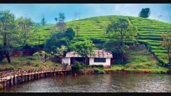 A Summer Sojourn In God S Own Country Column English Manorama