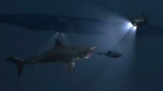 Artstation Seaquest Finds A Big Shark Peter Profetto