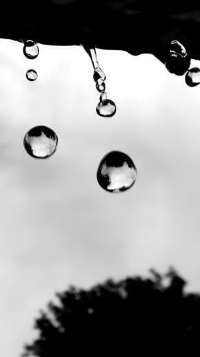 Raindrops iPhone 5s Wallpaper iPad