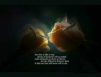 Sweet Love Quotes Wallpaper
