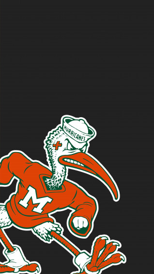 University Of Miami Wallpaper