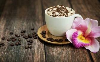 Cappuccino HD Wallpaper Background Image