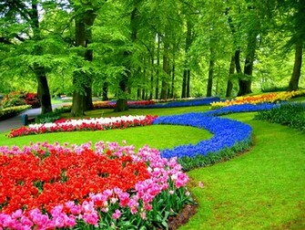 Keukenhof Gardens Wallpaper
