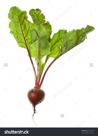 Beet Wallpaper Food Hq Picture