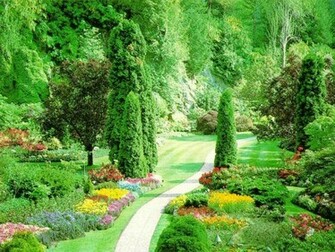 Sun Shines Beautiful Flower Garden Wallpaper