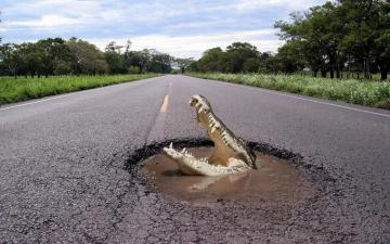 In Ditch Wallpaper And Image Pictures Photos