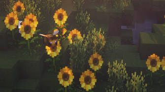 Minecraft Aesthetic