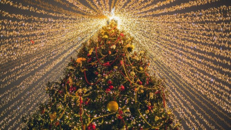 The Most Beautiful Christmas Trees Of