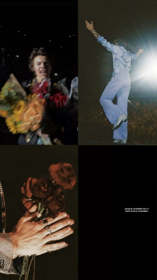 Harry Styles Aesthetic Wallpaper