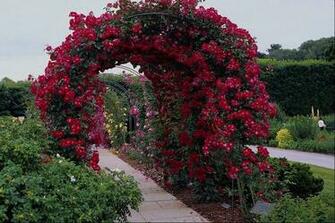 Sun Shines Beautiful Flower Garden Wallpaper