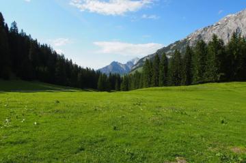 Best Meadow Background Spring