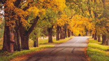 When Does Fall Start