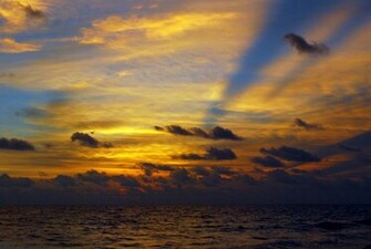 Blue Gold
