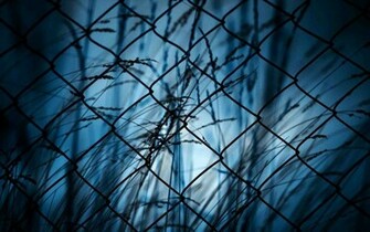 If You Like This Wallpaper Can Save Barbed Wire HD