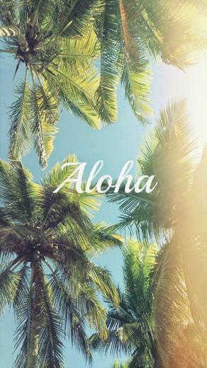 Aloha Palm Trees iPhone Wallpaper iPad