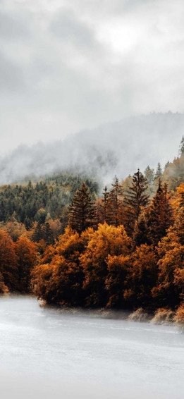 Beautiful Fall Wallpaper For iPhone May The Ray