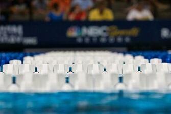 Usa Swimming Background Check